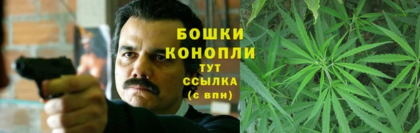 Альфа ПВП Бородино