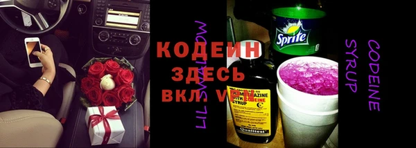 Альфа ПВП Бородино