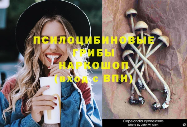 Альфа ПВП Бородино